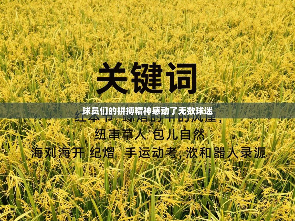 球员们的拼搏精神感动了无数球迷  第2张