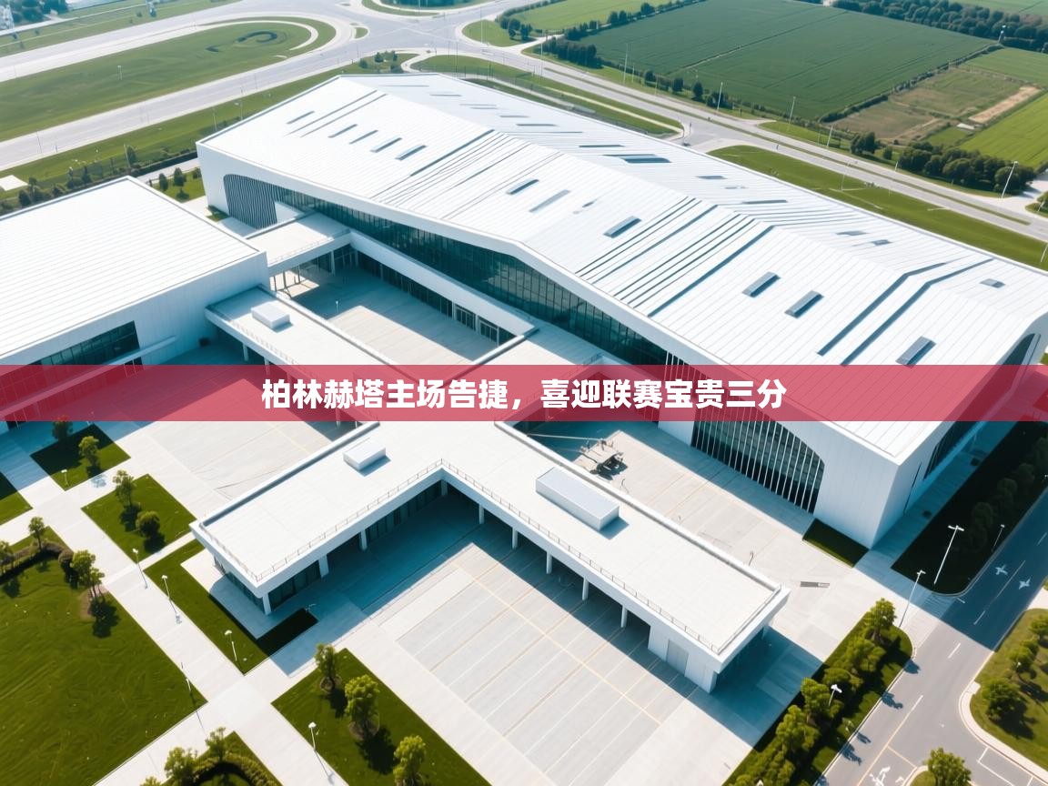 柏林赫塔主场告捷，喜迎联赛宝贵三分  第2张