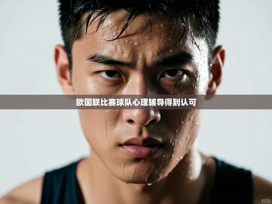 欧国联比赛球队心理辅导得到认可  第2张