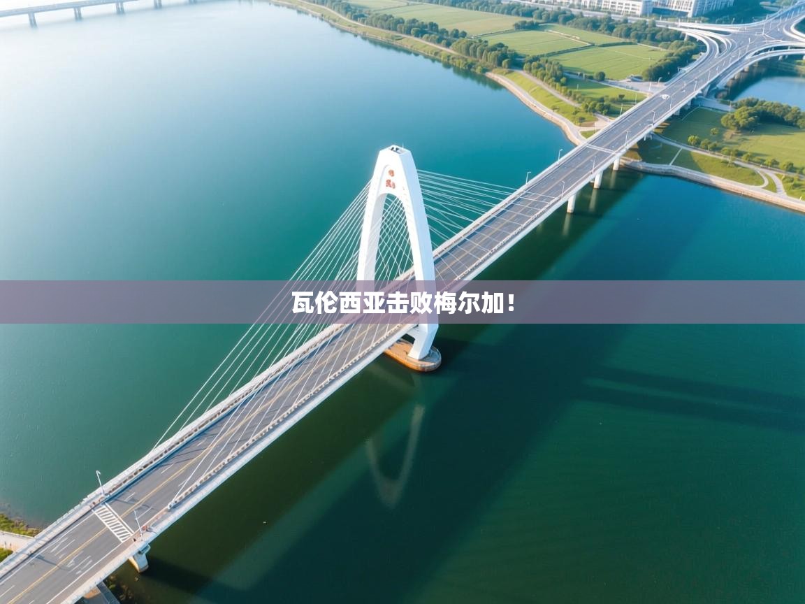 瓦伦西亚击败梅尔加! 第2张