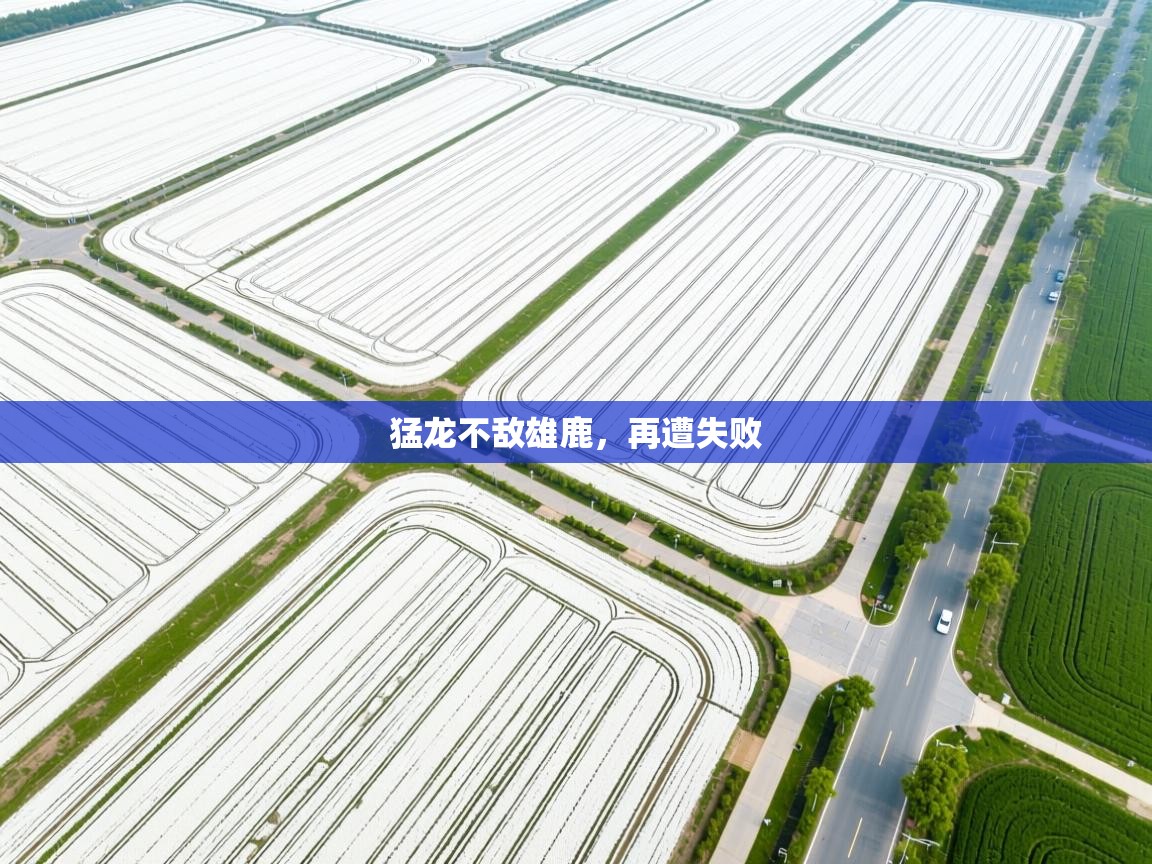 猛龙不敌雄鹿,再遭失败 第1张